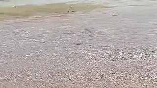 Feet Play on the Seaside