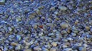 Sexy Milf Lynn banged at the beach by a stranger with a big cock