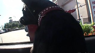 Check out this busty slut fucking