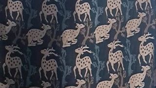 Village aunty video call with white inner