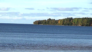 Walk Fishnet Bodystocking