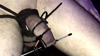 Amateur blonde ass fucked