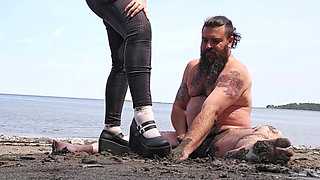 Gaspesie Cock Trampling