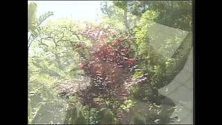 Sensual Erotic Fantasies