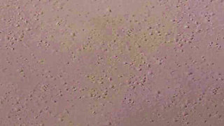 Away From Home 10 Eva's Underwater Ass Rub on Liam's Dick at Pool Party