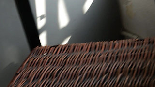 Young Lesbians Eat Each Other