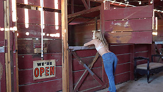 I Got Bred in the Barn
