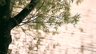 Homeward Bound: Feature Featuring Charlie Forde, Laney Day, Finley Kay, Leo Embers, Caleb Arcane, Mishel Karen