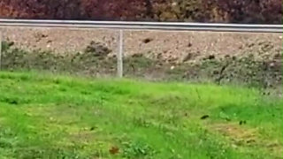 Punishing the Slave Girl