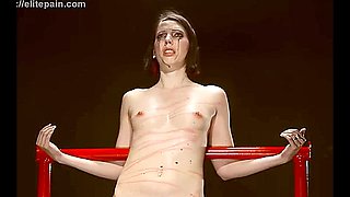 Beautiful Ladies Used Nicely Bdsm