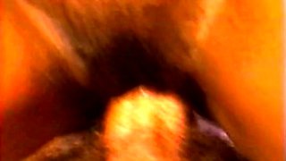 Hot Big Black Latina booty Black and Ebony