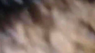 Indian High School Girl Lovely Fucked by Boyfriend Student Amateur