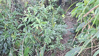 Female Ride-share Driver Stopped Her Car Outdoors to Have Sex with a Passenger!