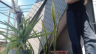 Peeing on a Potted Plant
