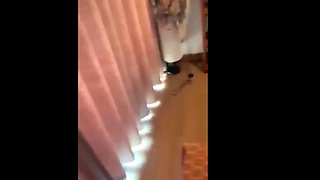 Thai Escort Creampie Sex