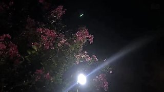 JUVPFIPRALUQCIMRBJBG717