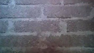 Amateur blondie solo anal masturbation