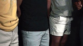 Mares assessed to ensure a deep breeding!