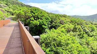 From Scenic Drive to Steamy Stop