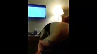 White cuckold loves taking big black cock aa