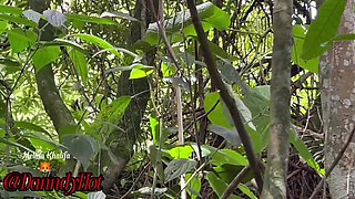 She wanted to give me her pussy in the park and I ate it