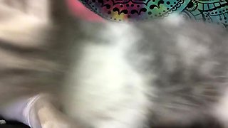 Big Ass Babe Rides Cock - Interracial Cosplay Orgasm