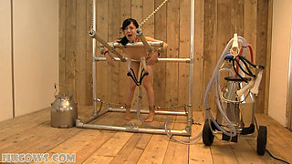 Elise Graves - Milked Petgirl