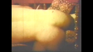 Vulgar Capricious Pig