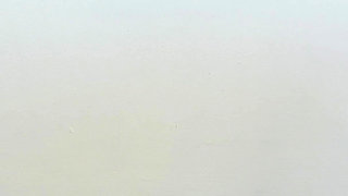 Stilettos Vs Cardboard