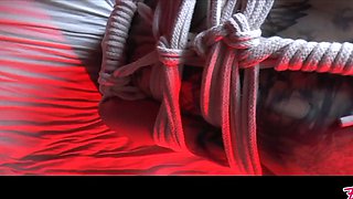 Innocent Teen Bondage Anal Fuck - Shibari, Doxy and First Show