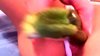 Stacked brunette goes solo toys and masturbation